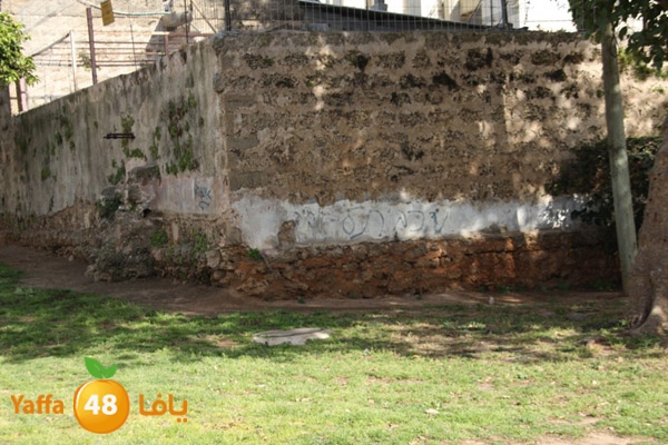 baitandsbeelabokber (4).JPG